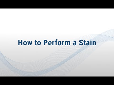 BOND-III Quick Tips Series: How to Perform a Stain