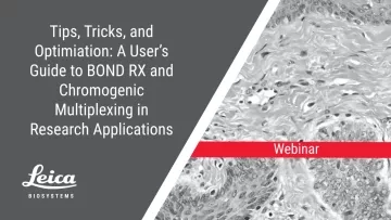 Tips, Tricks, and Optimization: A User's Guide to BOND RX and Chromogenic Multiplexing in Research Applications Webinar Thumbnail