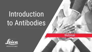 Introduction to Antibodies Webinar Thumbnail