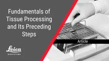 Fundamentals of Tissue Processing and Preceding Steps Article Thumbnail