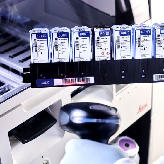 Leica Biosystems BOND-III Antibodies, probes and detection systems