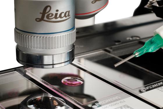 FL-Oil-Scanning-web-pages