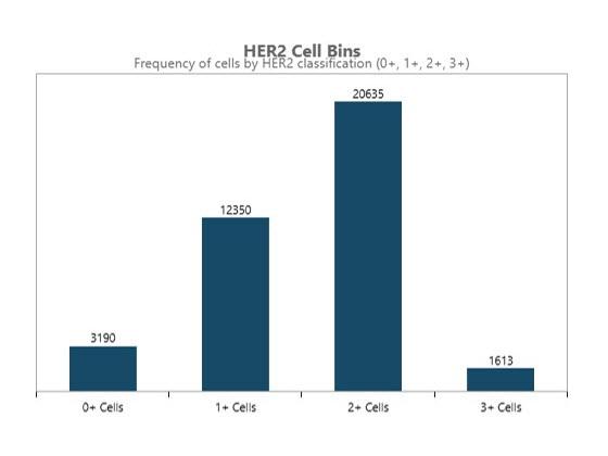 Breast HER2 AI histogram