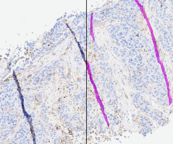 QC-Feature-Image-Split_600x500