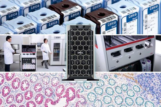 BOND RX-ADVANCE Advanced Research Staining Network