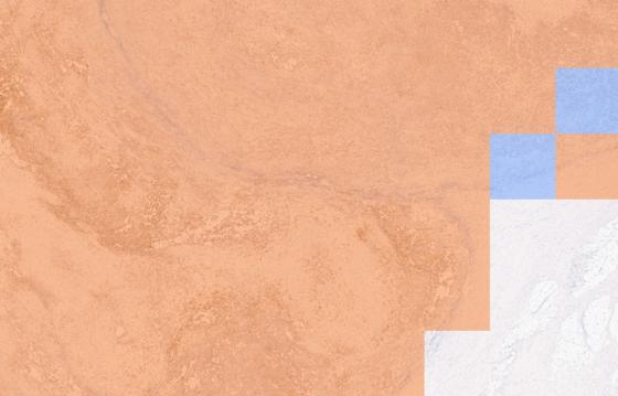 Visualization of PD-L1 expression on the cutoff map