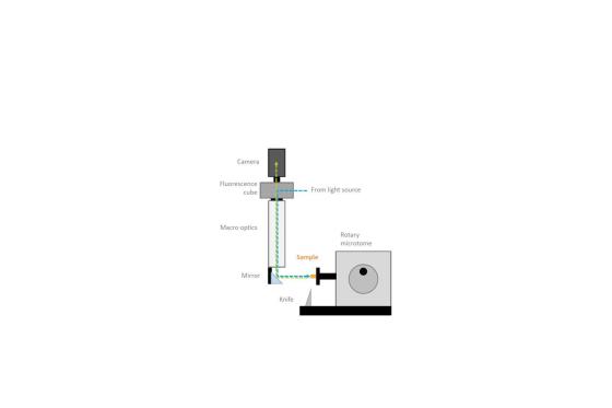 HistoCore NANOCUT R Hero Left Knife Holder E TC