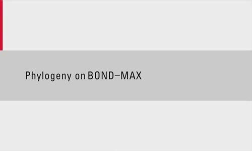 bond max
