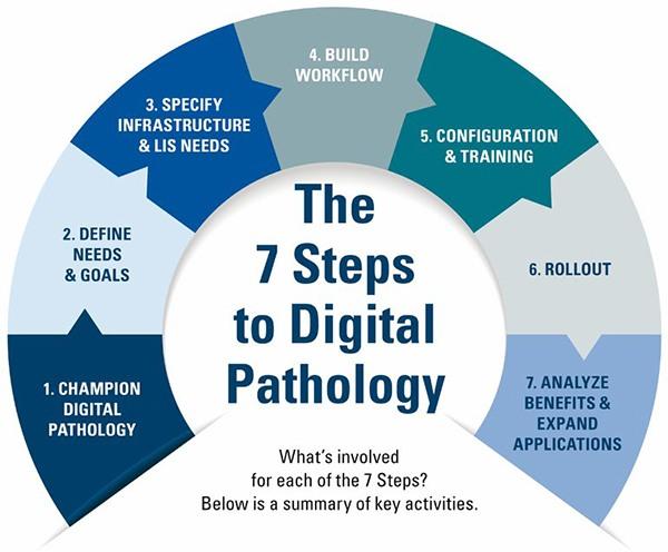The 7 Steps to Digital Pathology