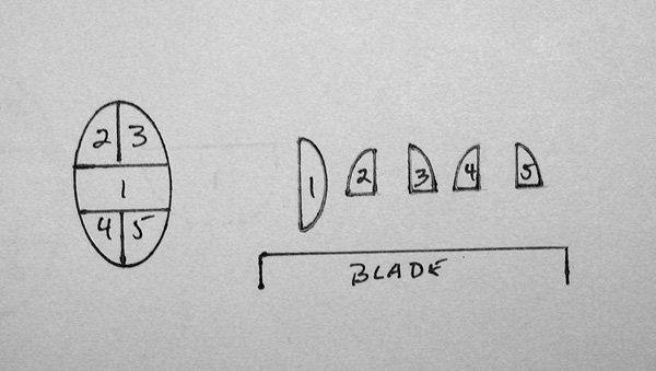 Figure 9. Orienting skin to the blade. The diagram shows an approach to embedding a small skin ellipse, so that the epidermis is perpendicular to the blade, and so the longitudinal margins (2-5) will hit the blade last. Figure 9. Orienting skin to the blade. The diagram shows an approach to embedding a small skin ellipse, so that the epidermis is perpendicular to the blade, and so the longitudinal margins (2-5) will hit the blade last.