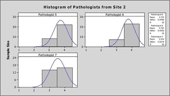 Graph showing image quality scores and range of scores per pathologist at Site 2