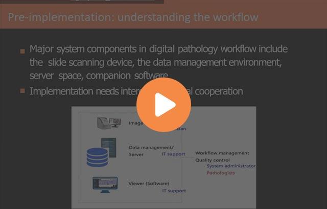 implementation-of-digital-pathology-for-routine-clinical-practice-640x410