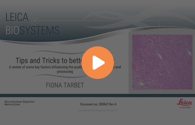 tips-and-tricks-to-better-histology-influencing-tissue-processing-and-preparation-640x410
