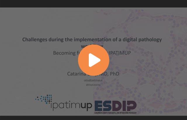 challenges-during-the-implementation-of-a-digital-pathology-workflow-becoming-640x410
