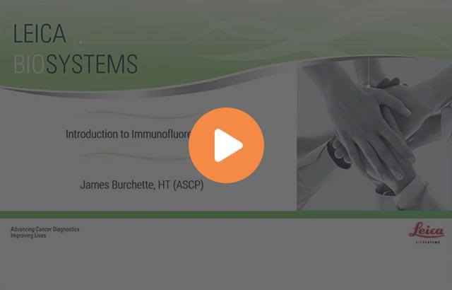 introduction-to-immunofluorescence-640x410