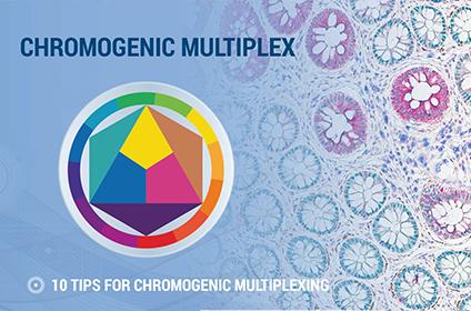 tips-tricks-to-multiplexing-how-to-choose-chromogen-colors-for-multiplex-thumb