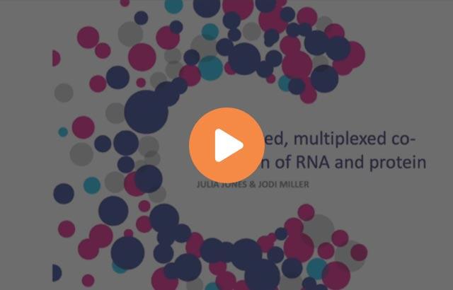 automated-multiplexed-co-detection-of-rna-and-protein-640x410