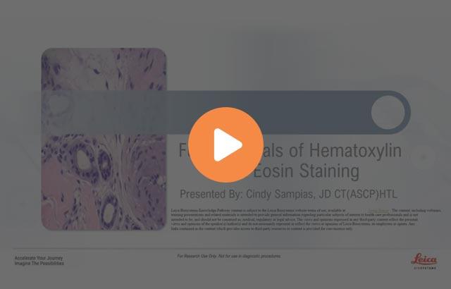 fundamentals-of-hematoxylin-and-eosin-staining-640x410