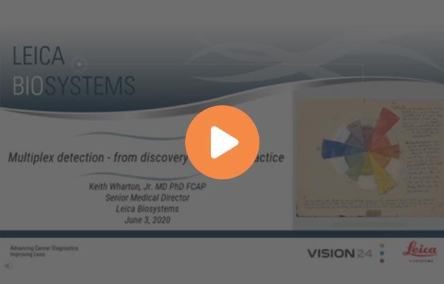 multiplex-detection-from-discovery-to-clinical-practice-640x410