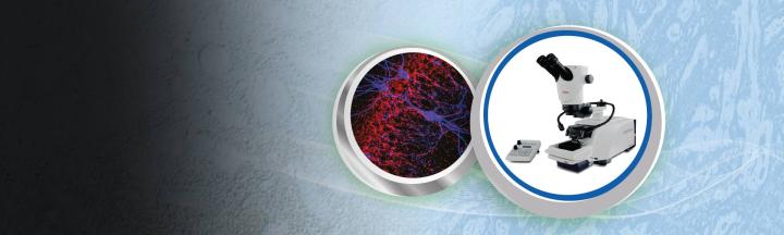 Vibratomes-hero-banner-1920x575-4