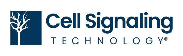 cell-signaling-technology-logo-horizontal