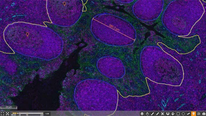 HALO-Annotation-Tools​