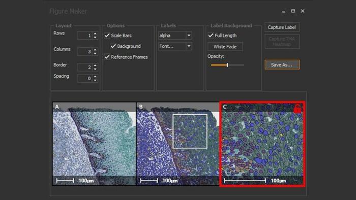 HALO-Figure-Maker​