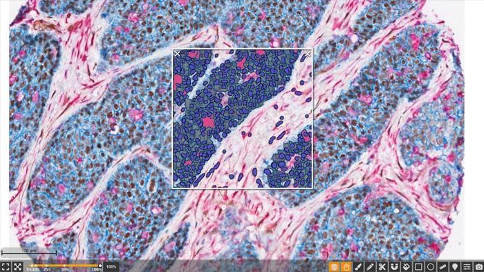 HALO-Real-Time-Tuning