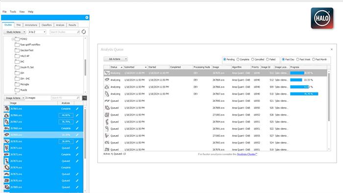 HALO-Your-Analysis-Your-Way