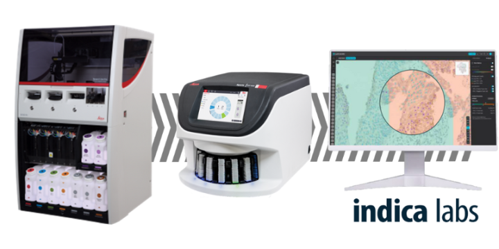 Figure 1 IHC Staining Workflow
