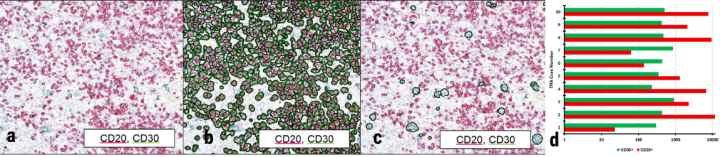 Figure 6 Halo Software
