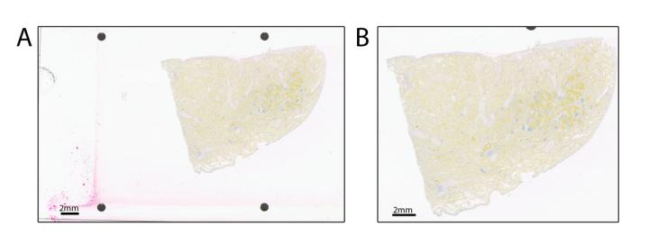 Aperio GT 450 manual scanning feature for samples with prominent artifacts