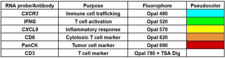 RNA target, antibody, and fluorophore pairings table