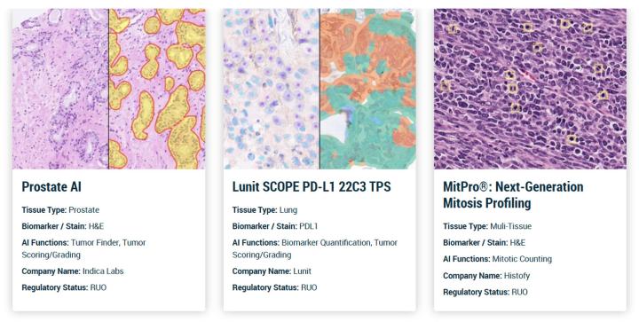 Aperio-AI-Store-Gallery