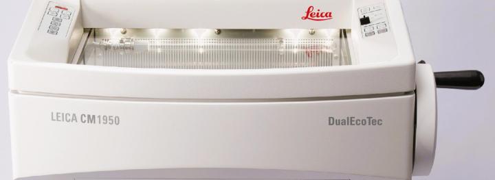 CM_1950_IMG_1031-close_up_front