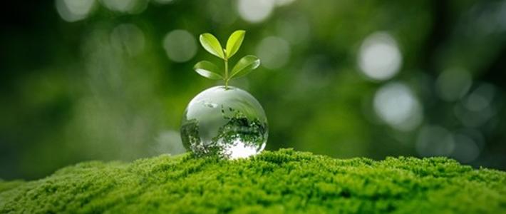 Reduce-Environmental-impact