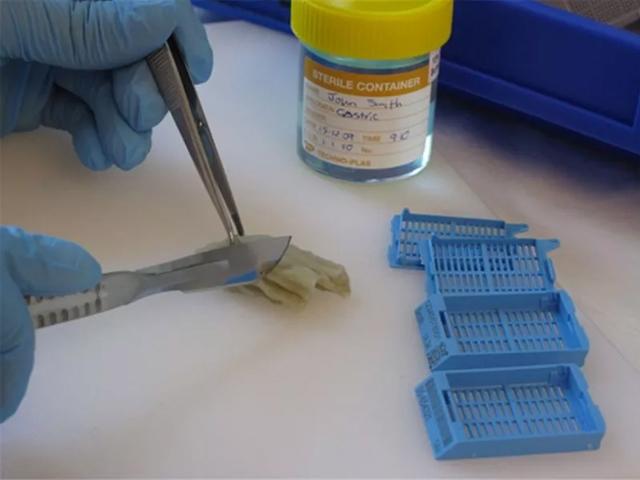 an-introduction-to-specimen-preparation-640x480