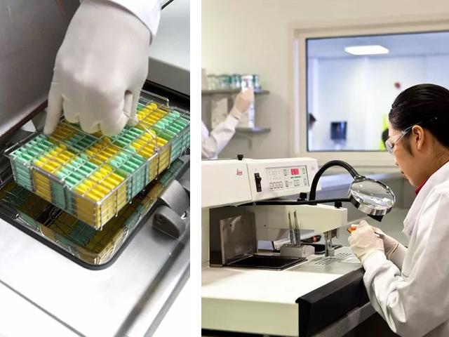 an-introduction-to-specimen-processing-640x480