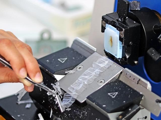 steps-to-better-microtomy-flotation-section-drying-640x480