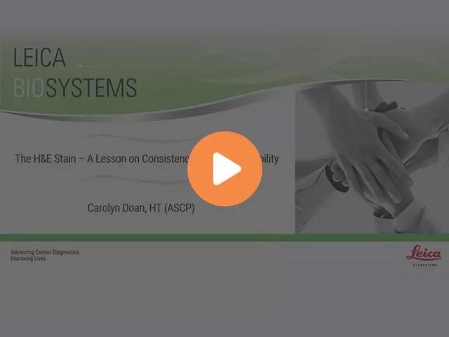 the-he-stain-a-lesson-on-consistency-and-reproducibility-640x480