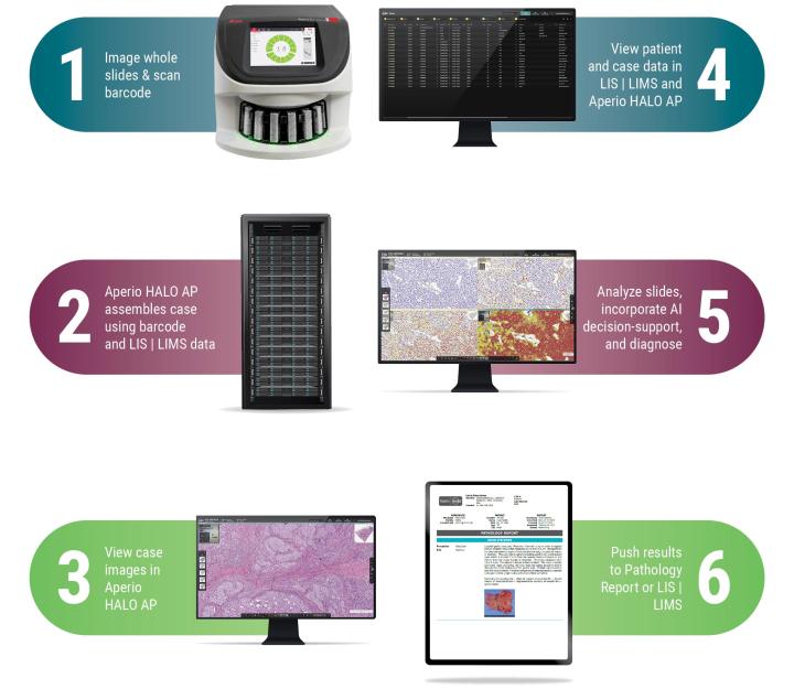 Aperio HALO Integrated Pathology