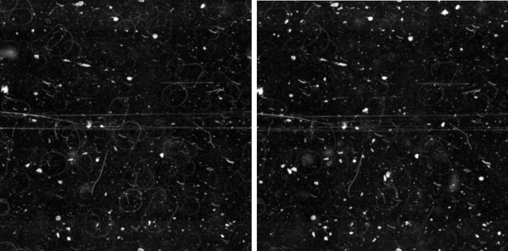 Study-on-the-performance-of-different-cover-glasses-in-microscopy-measurement-of-surface-scratches-and-contamination-image-26