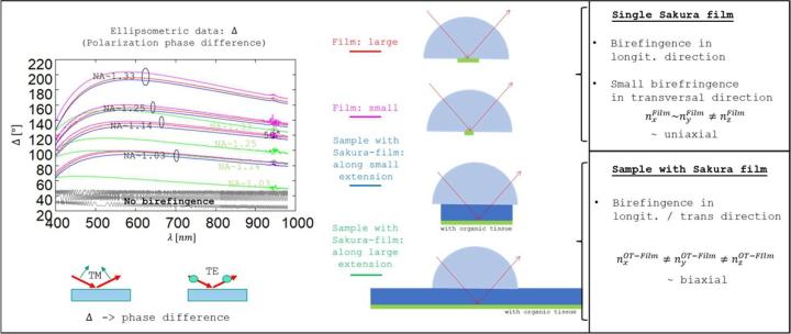 Study-on-the-performance-of-different-cover-glasses-in-microscopy-measurements-of-the-polarization-phase-difference-image-12