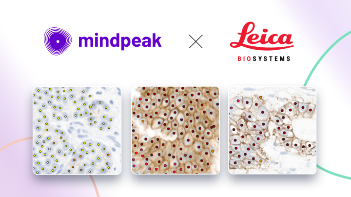 Mindpeak-collaboration-announcement-leica.png