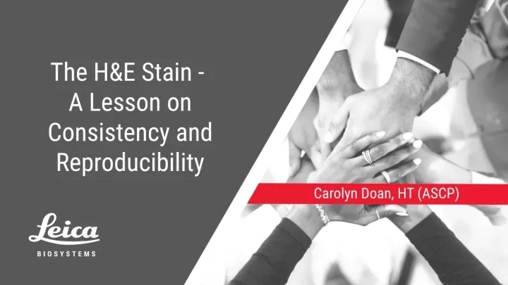H and E Stain - A lesson on Consistency and Reproducibility by Carolyn Doan