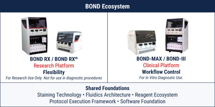 Shared Technology Foundations