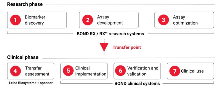 Research-to-Clinical Assay Development Pathway