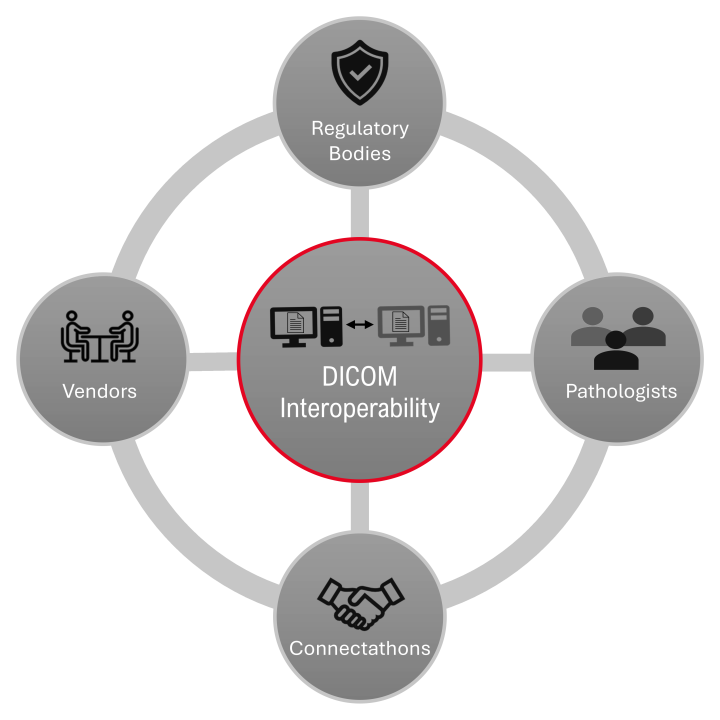DICOM Interoperability