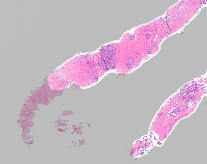 Fig 0 (1).png