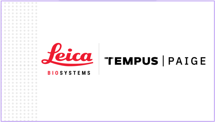LBS-Tempus-Paige logos